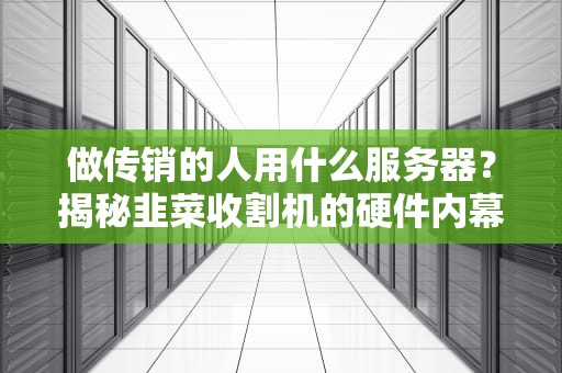 做传销的人用什么服务器？揭秘韭菜收割机的硬件内幕！