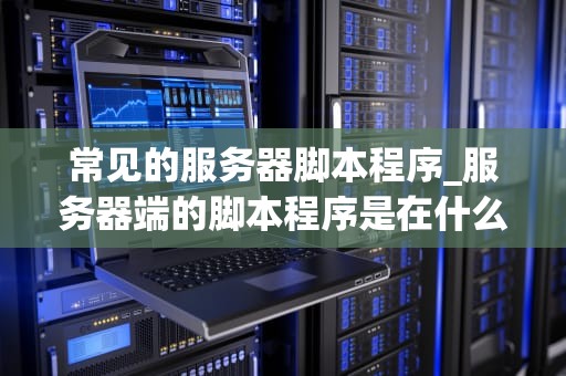 常见的服务器脚本程序_服务器端的脚本程序是在什么上执行_服务器脚本程序的设计与实现