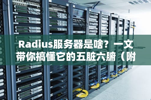 Radius服务器是啥？一文带你搞懂它的五脏六腑（附硬核拆解）