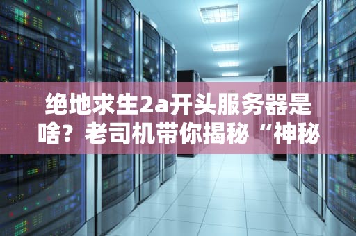 绝地求生2a开头服务器是啥？老司机带你揭秘“神秘代码”背后的真相！
