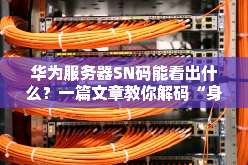 华为服务器SN码能看出什么？一篇文章教你解码“身份证”里的秘密！