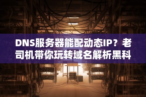DNS服务器能配动态IP？老司机带你玩转域名解析黑科技！