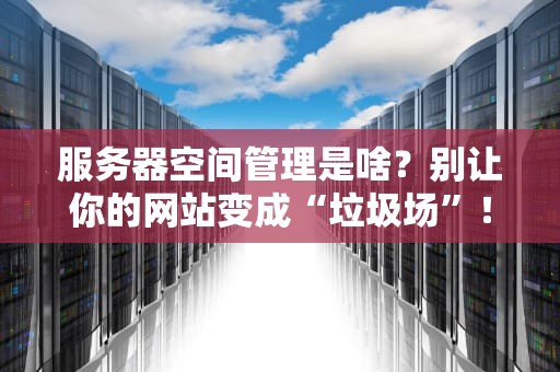 服务器空间管理是啥？别让你的网站变成“垃圾场”！