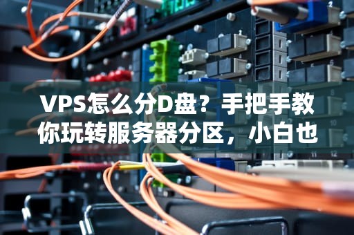 VPS怎么分D盘？手把手教你玩转服务器分区，小白也能秒变大神！