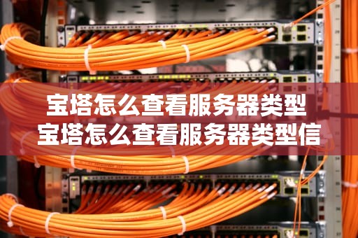 宝塔怎么查看服务器类型 宝塔怎么查看服务器类型信息