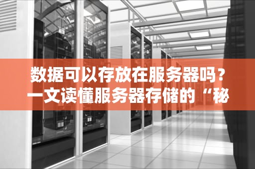 数据可以存放在服务器吗？一文读懂服务器存储的“秘密仓库”