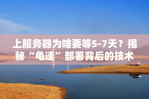 上服务器为啥要等5-7天？揭秘“龟速”部署背后的技术玄学！