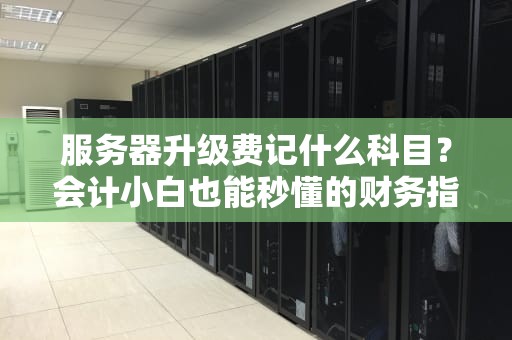 服务器升级费记什么科目？会计小白也能秒懂的财务指南！