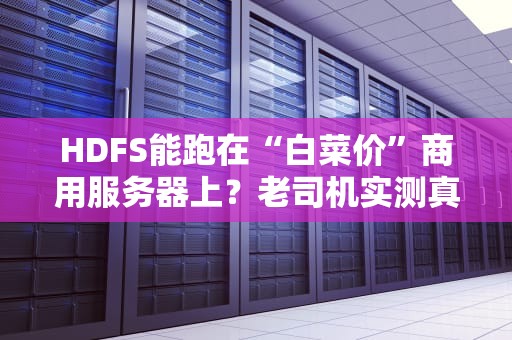HDFS能跑在“白菜价”商用服务器上？老司机实测真相！