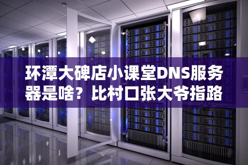 环潭大碑店小课堂DNS服务器是啥？比村口张大爷指路还靠谱的互联网导航员！