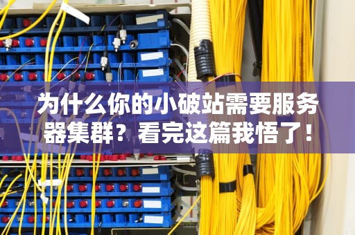 为什么你的小破站需要服务器集群？看完这篇我悟了！