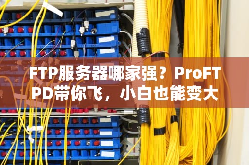 FTP服务器哪家强？ProFTPD带你飞，小白也能变大神！