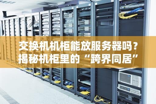 交换机机柜能放服务器吗？揭秘机柜里的“跨界同居”潜规则！