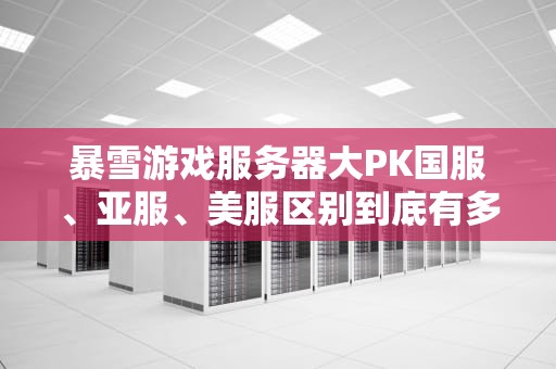 暴雪游戏服务器大PK国服、亚服、美服区别到底有多大？