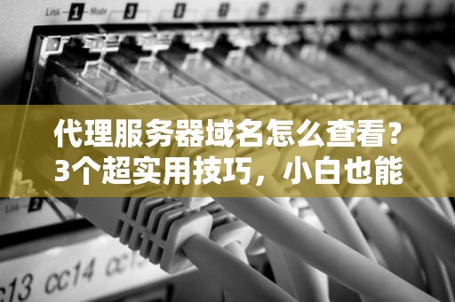 代理服务器域名怎么查看？3个超实用技巧，小白也能秒变IT大神！