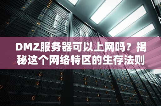 DMZ服务器可以上网吗？揭秘这个网络特区的生存法则！