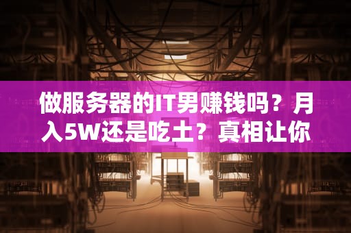 做服务器的IT男赚钱吗？月入5W还是吃土？真相让你惊掉下巴！