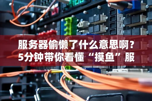服务器偷懒了什么意思啊？5分钟带你看懂“摸鱼”服务器的那些事儿！
