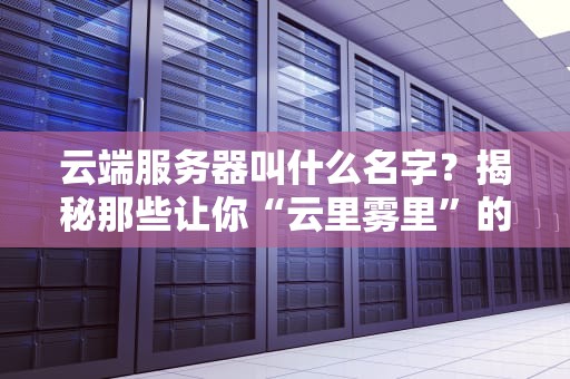 云端服务器叫什么名字？揭秘那些让你“云里雾里”的服务器代号！
