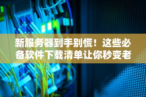 新服务器到手别慌！这些必备软件下载清单让你秒变老司机