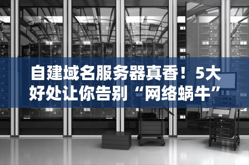 自建域名服务器真香！5大好处让你告别“网络蜗牛”时代
