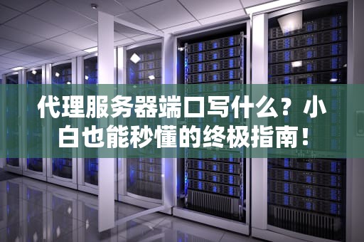 代理服务器端口写什么？小白也能秒懂的终极指南！