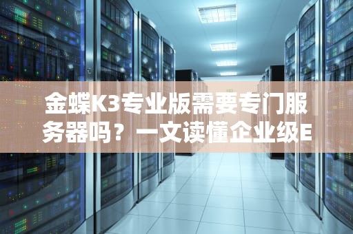 金蝶K3专业版需要专门服务器吗？一文读懂企业级ERP的“硬件搭档”选择指南！