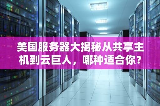 美国服务器大揭秘从共享主机到云巨人，哪种适合你？
