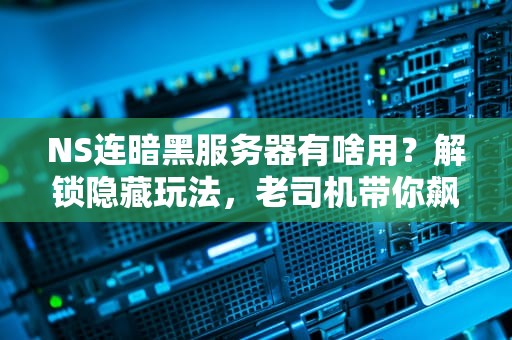 NS连暗黑服务器有啥用？解锁隐藏玩法，老司机带你飙车！