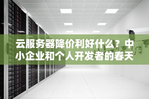 云服务器降价利好什么？中小企业和个人开发者的春天来了！