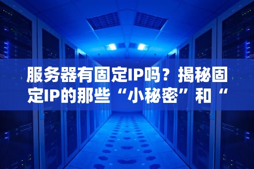 服务器有固定IP吗？揭秘固定IP的那些“小秘密”和“大用途”！