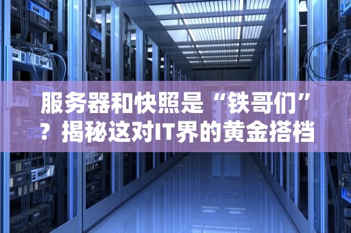 服务器和快照是“铁哥们”？揭秘这对IT界的黄金搭档！