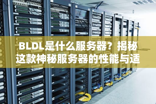 BLDL是什么服务器？揭秘这款神秘服务器的性能与适用场景！