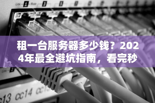 租一台服务器多少钱？2024年最全避坑指南，看完秒变老司机！