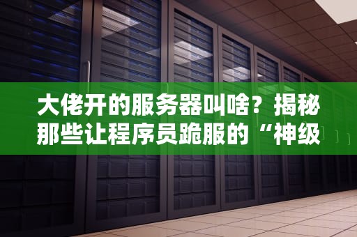 大佬开的服务器叫啥？揭秘那些让程序员跪服的“神级”服务器！