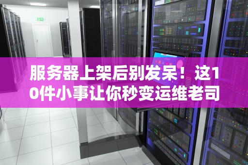 服务器上架后别发呆！这10件小事让你秒变运维老司机（附骚操作）