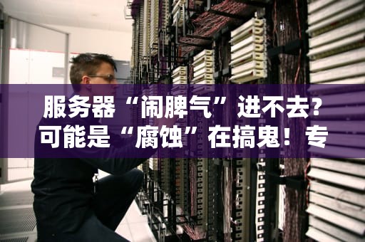 服务器“闹脾气”进不去？可能是“腐蚀”在搞鬼！专业测评博主带你破案