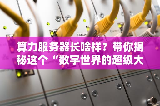 算力服务器长啥样？带你揭秘这个“数字世界的超级大脑”！