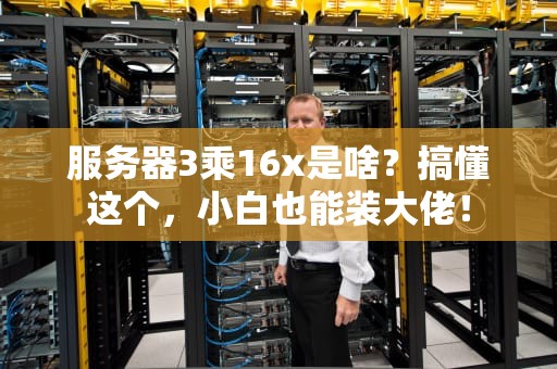 服务器3乘16x是啥？搞懂这个，小白也能装大佬！