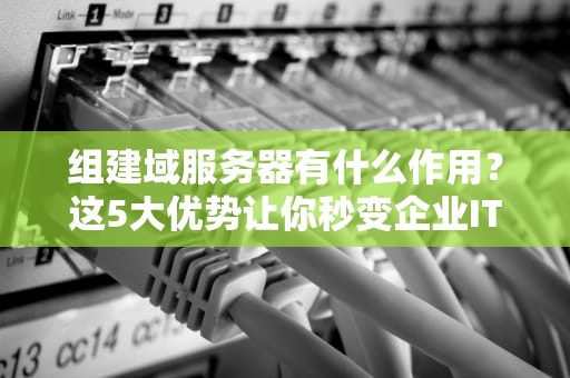 组建域服务器有什么作用？这5大优势让你秒变企业IT大神！