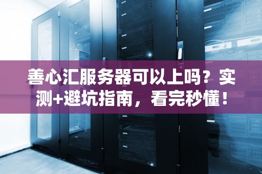 善心汇服务器可以上吗？实测+避坑指南，看完秒懂！