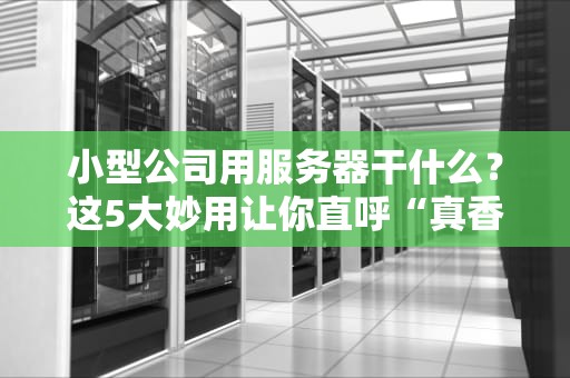 小型公司用服务器干什么？这5大妙用让你直呼“真香”！