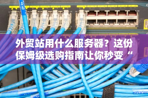 外贸站用什么服务器？这份保姆级选购指南让你秒变“服务器老司机”