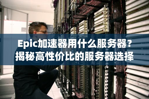 Epic加速器用什么服务器？揭秘高性价比的服务器选择秘籍！