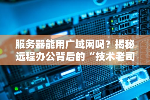 服务器能用广域网吗？揭秘远程办公背后的“技术老司机”