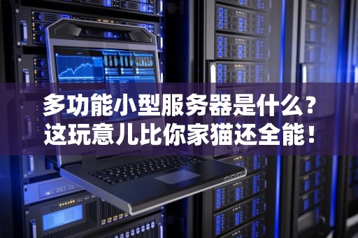 多功能小型服务器是什么？这玩意儿比你家猫还全能！