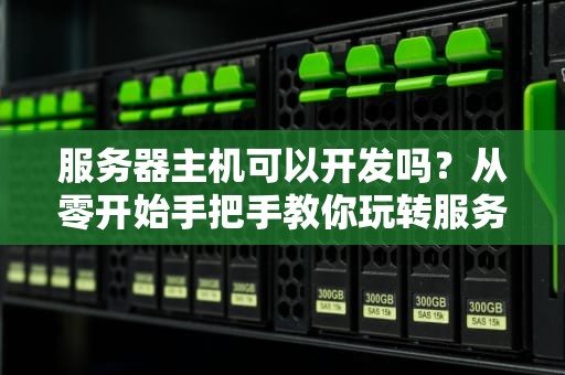 服务器主机可以开发吗？从零开始手把手教你玩转服务器开发！