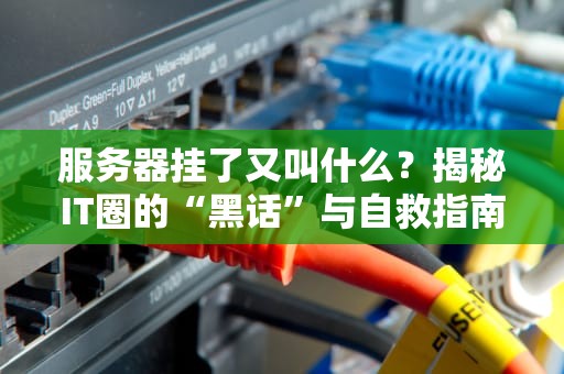 服务器挂了又叫什么？揭秘IT圈的“黑话”与自救指南