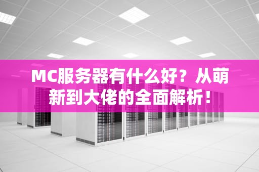 MC服务器有什么好？从萌新到大佬的全面解析！