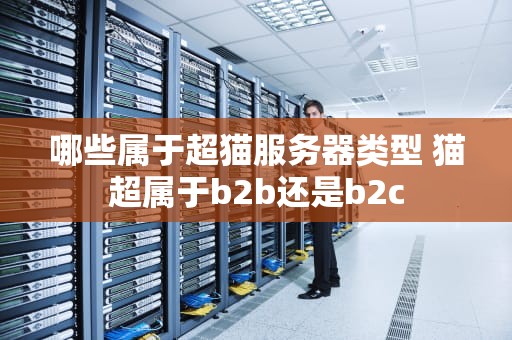 哪些属于超猫服务器类型 猫超属于b2b还是b2c